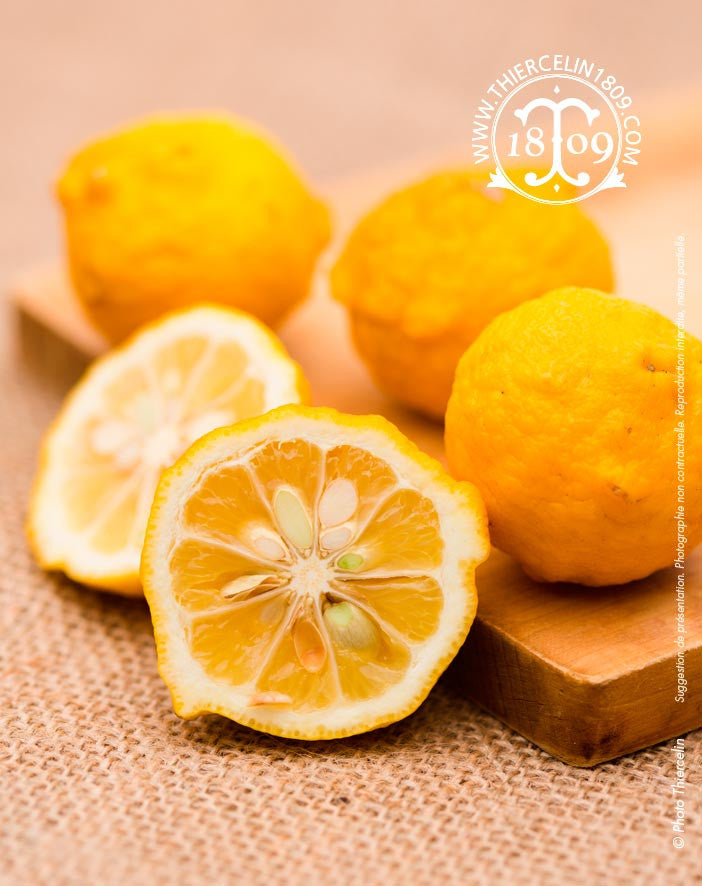 Jus de Yuzu Japonais - Thiercelin